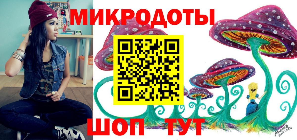 Ликино-Дулёво  Псилоцибиновые грибы Psilocybe  Вход с VPN  Галлюциногенные грибы Psilocybe 